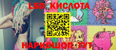 прущие крисы Кимры