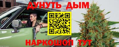 индика Кинель