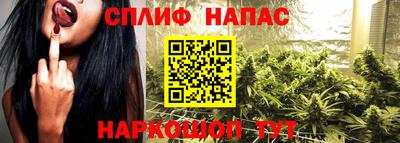 прущие крисы Кимры