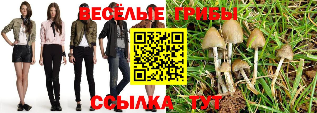 Галлюциногенные грибы Psilocybe Магнитогорск